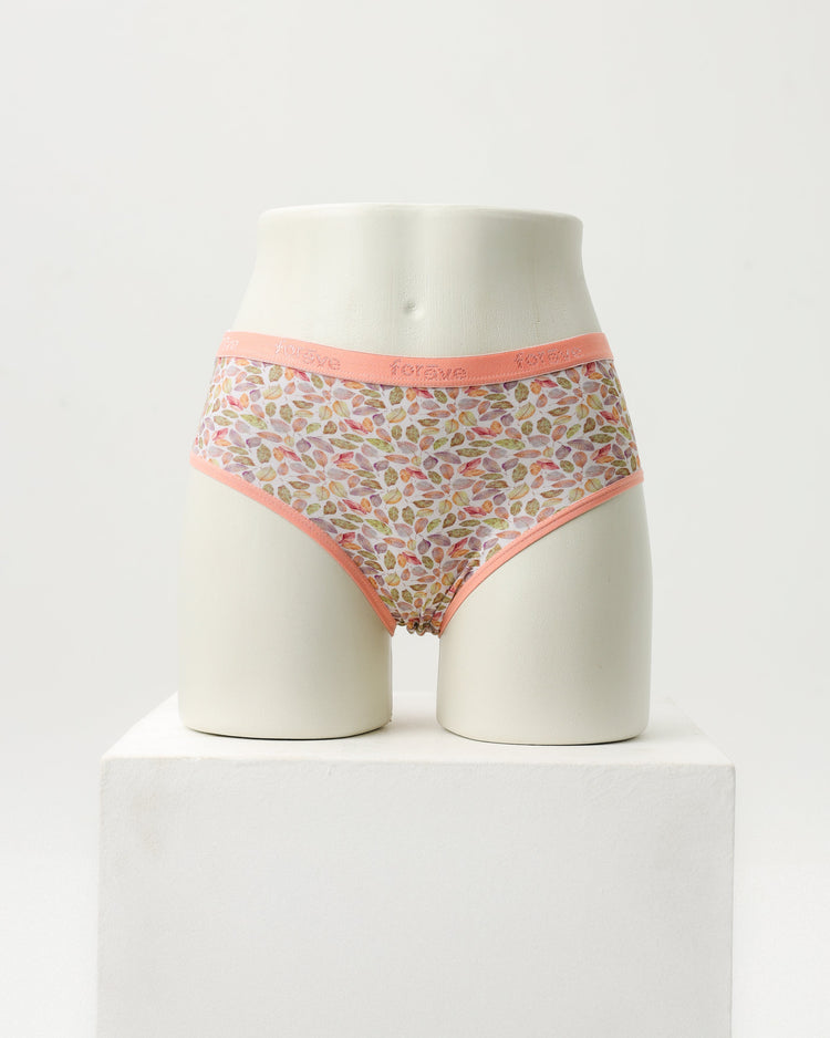Briefs