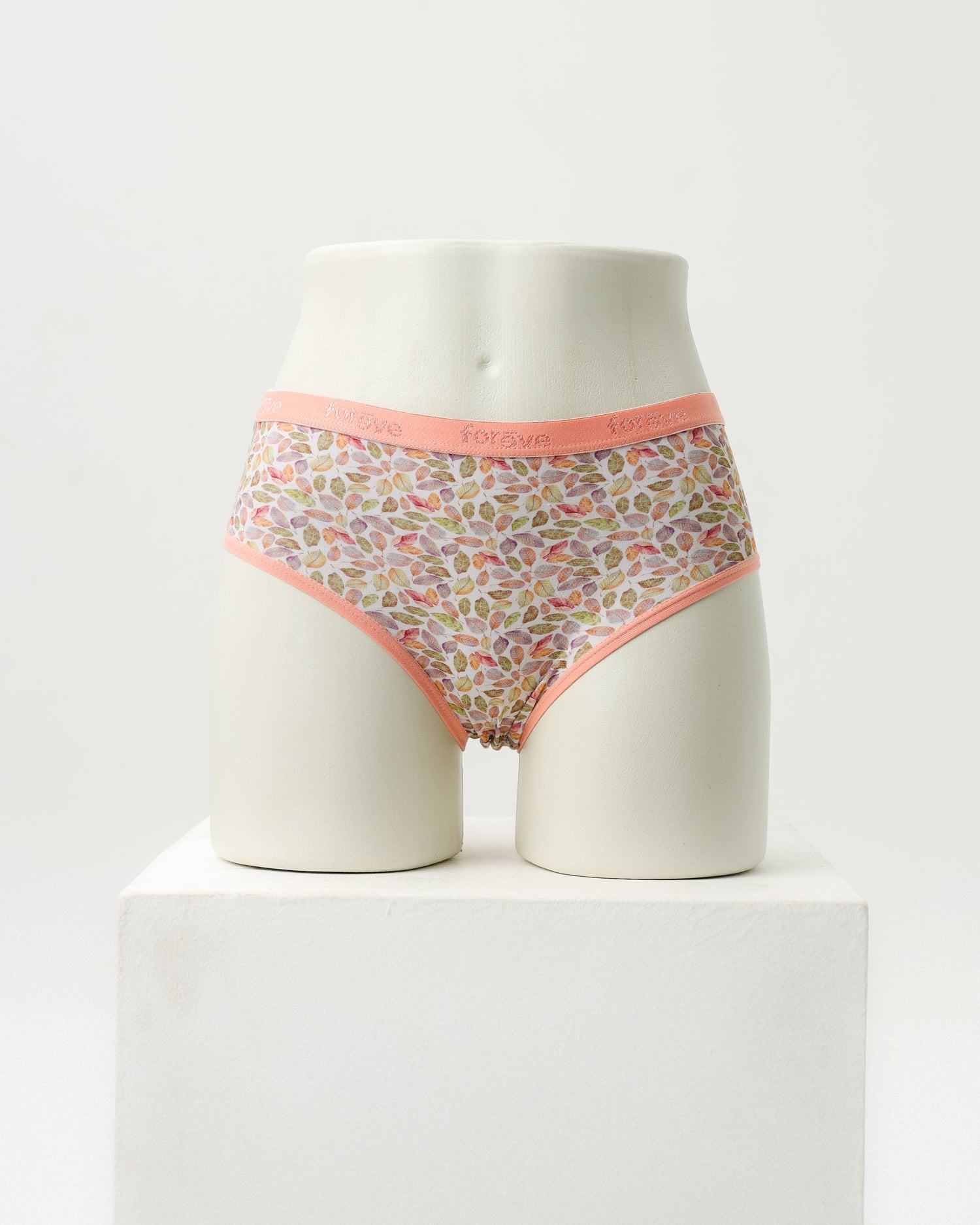 Briefs